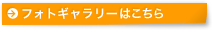 フォトギャラリーはこちら